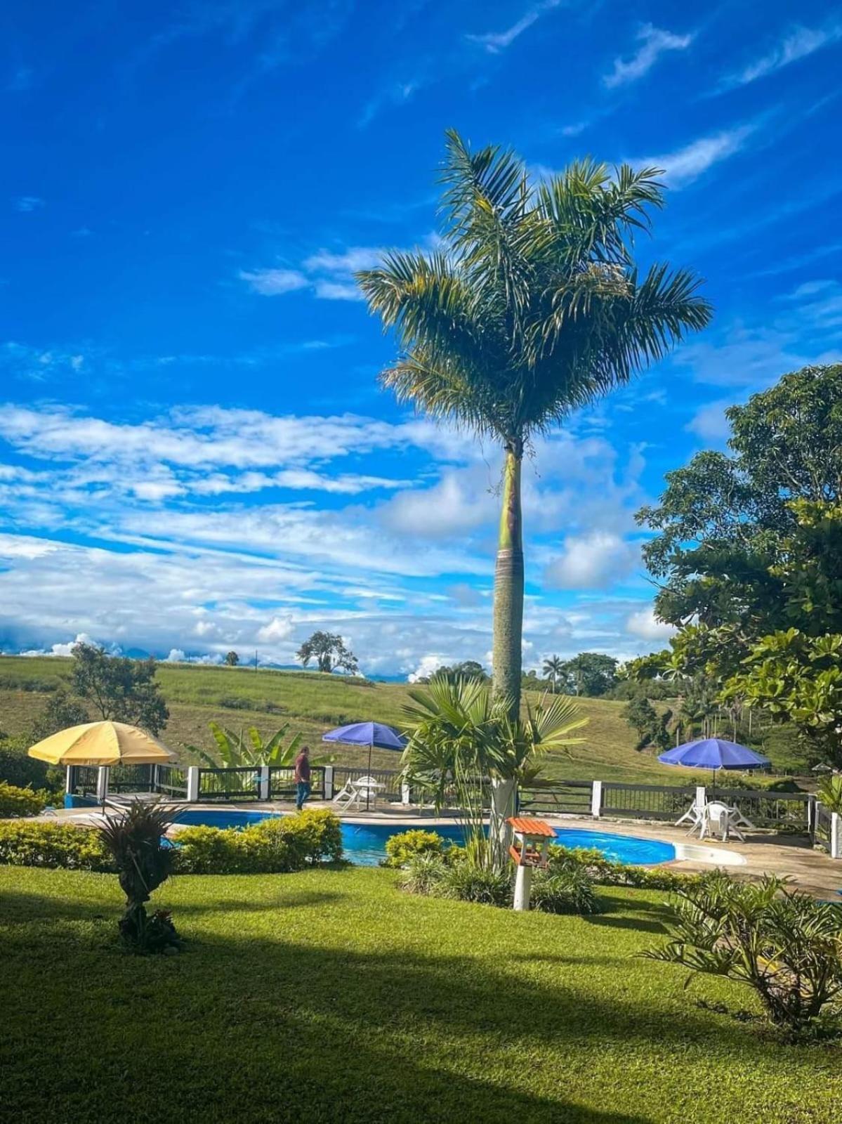 Finca Hotel Palmas Frente A Panaca Quimbaya Kültér fotó