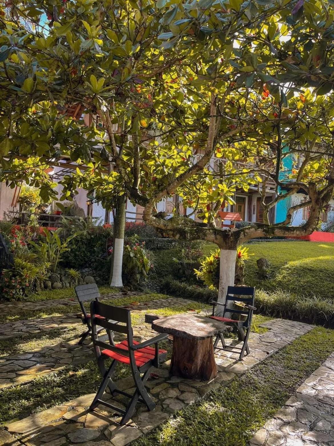 Finca Hotel Palmas Frente A Panaca Quimbaya Kültér fotó